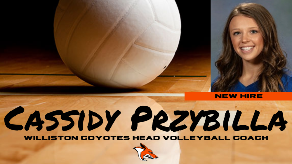 Volleyball Hire