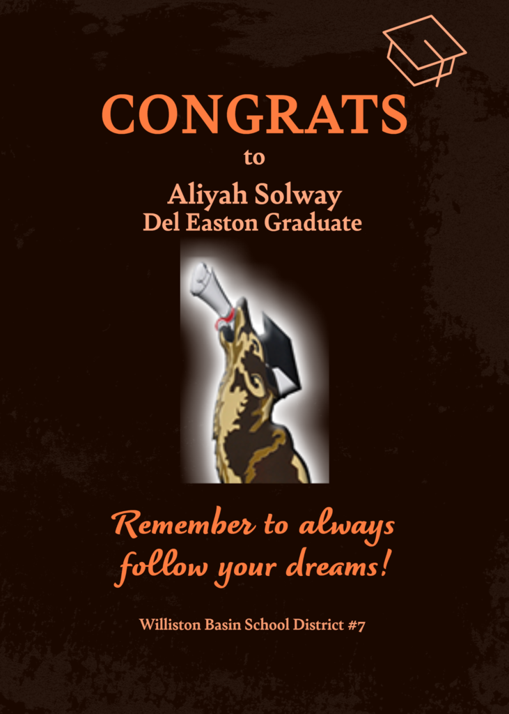 DEAS Aliyah Solway